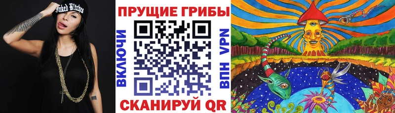 Псилоцибиновые грибы мицелий  kraken как зайти  Михайловск  купить наркотик 